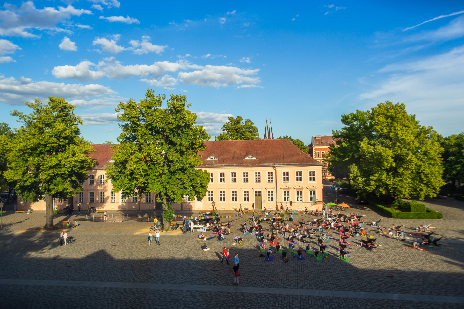 534_MG_5115_web